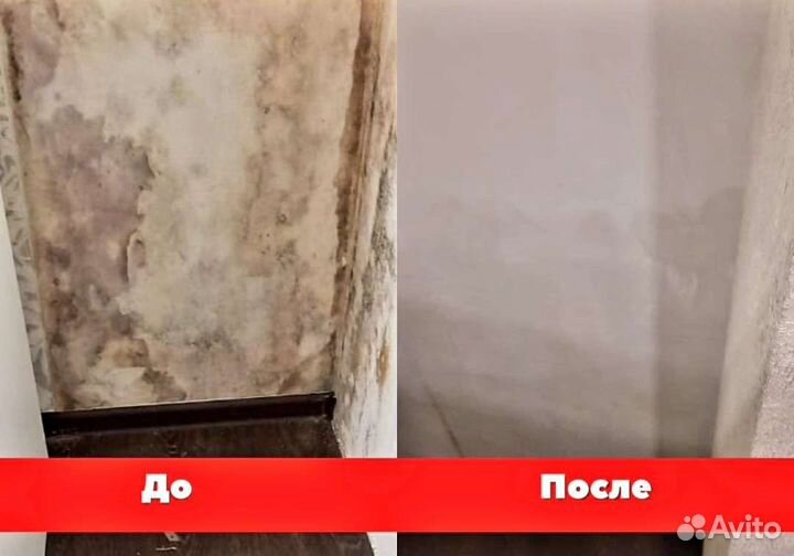 Дезинсекция от насекомых