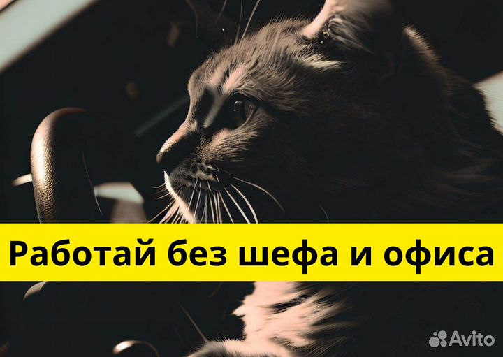 Ищем водителей на своих авто в Яндекс.Go