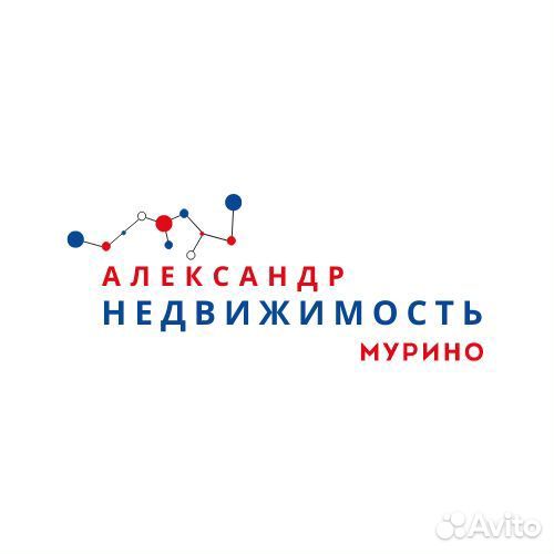 Начинающий агент по недвижимости (г.Мурино)
