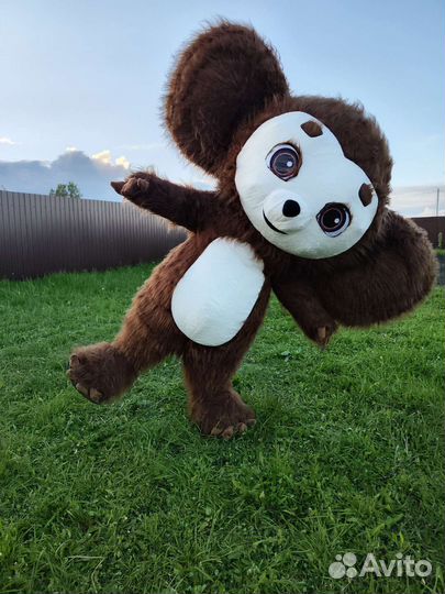 Ростовая кукла чебурашка. Чебурашка на праздник