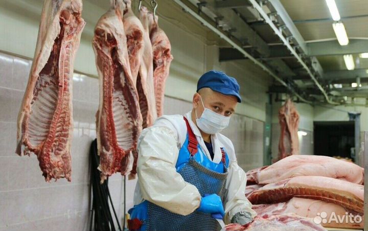 Рабочие на Вахту на производство