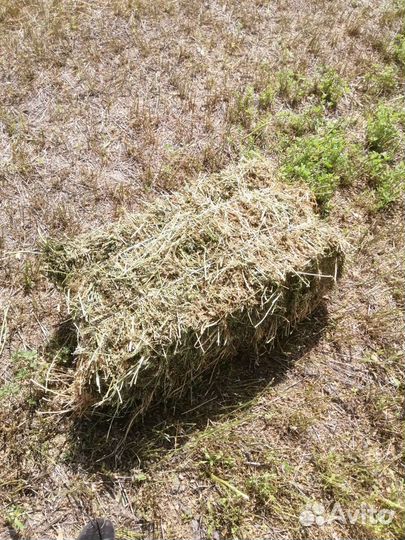 Сено в тюках