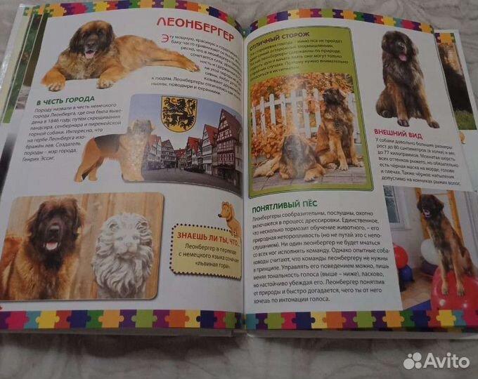 Энциклопедия