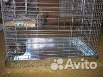 Поддоны металлические для клеток