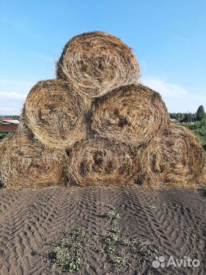 Сено в тюках