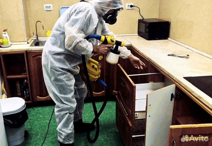 Уничтожение клопов тараканов грызунов блох