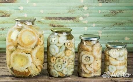 Грибы маринованные