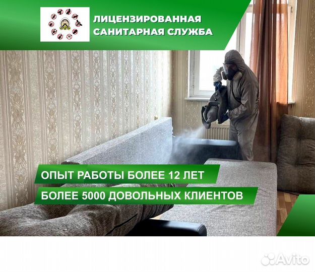 Обработка от насекомых, грызунов, плесени