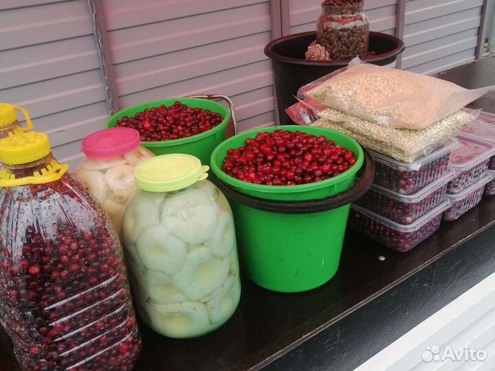 Ягода грибы орех