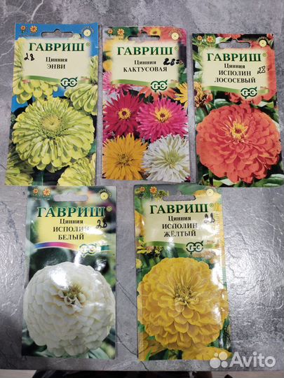 Рассада цинний и бархатцев