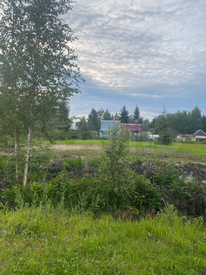 Участок 16 сот. (СНТ, ДНП)