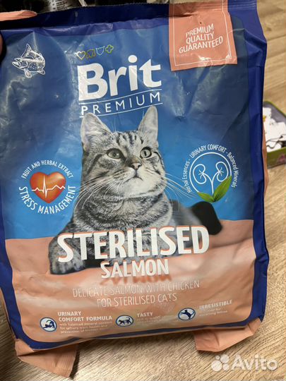 Brit, blitz для кошек и собак