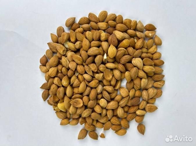 Абрикосовая косточка для маслоделов