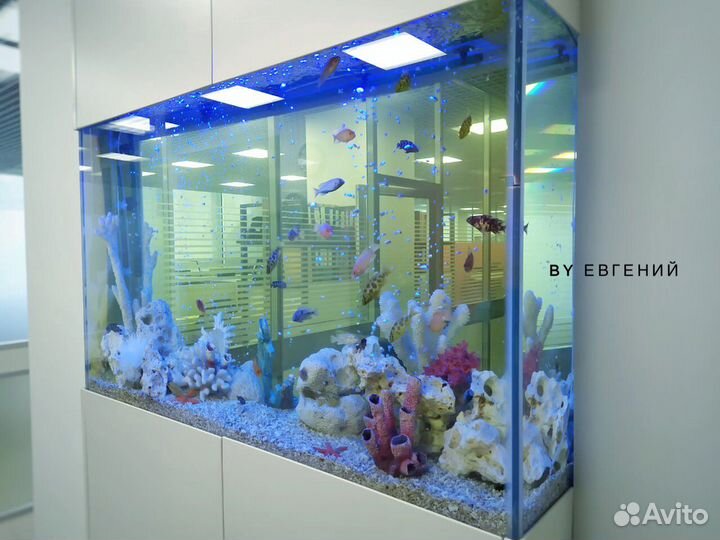 Чистка и обслуживание аквариумов