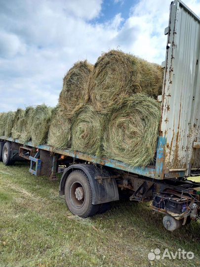 Сено в рулонах 2023