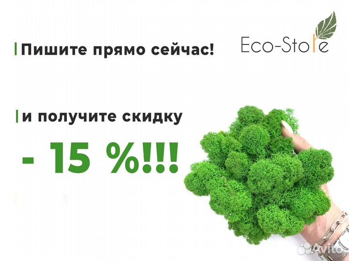 Фитопанно из мха яблоко