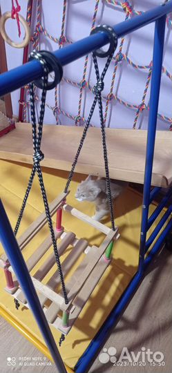 Спортивный комплекс ранний старт