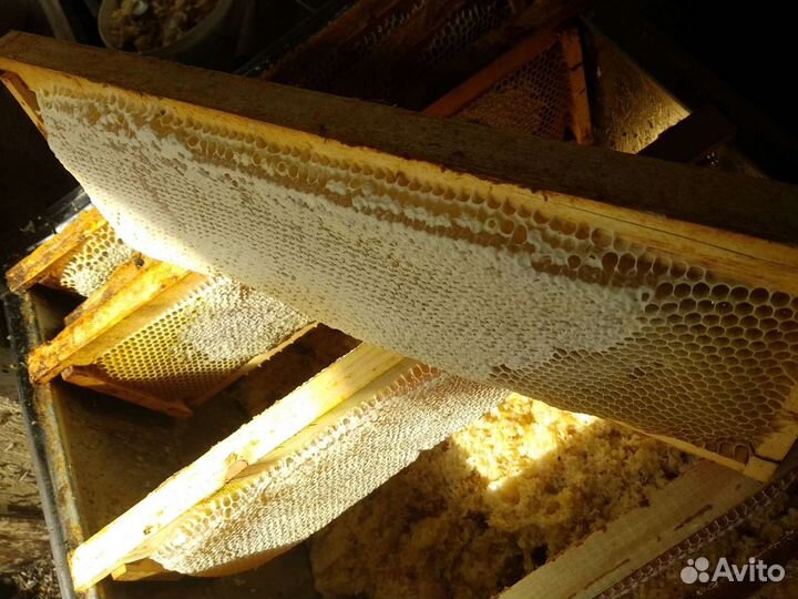 Мёд натуральный