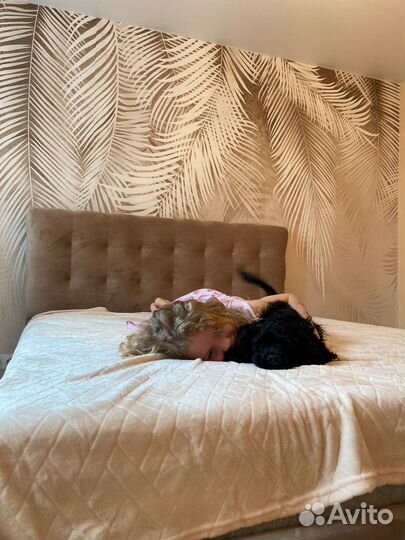 Фотообои на стену