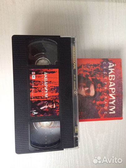 Концерт Бориса Гребенщикова сестра хаос