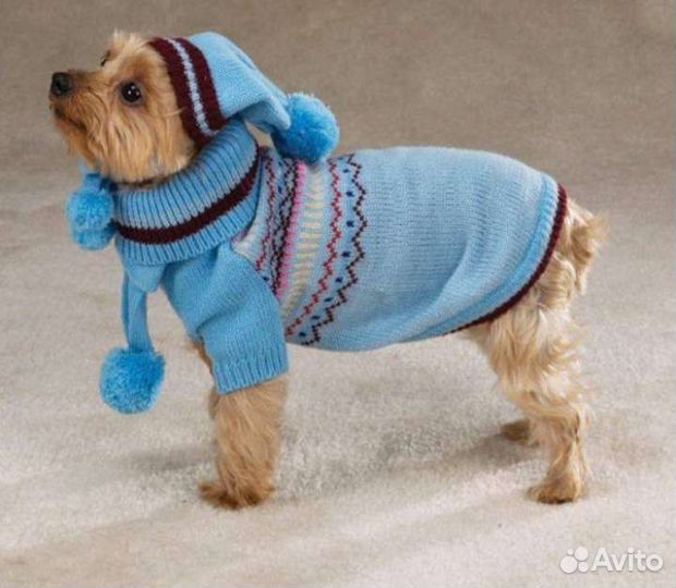 Одежда для животных