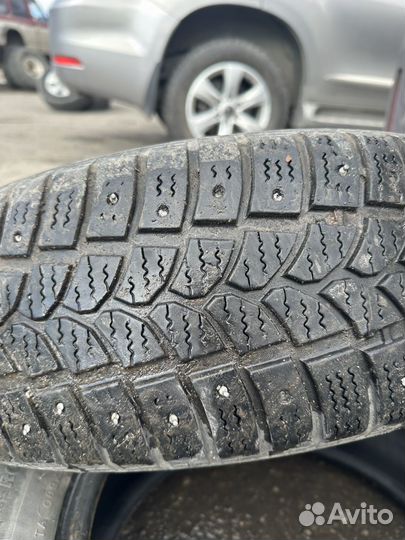 Tigar Sigura Stud 195/65 R15