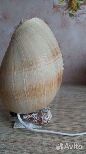 Светильник из ракушек