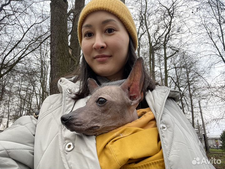 Слинг для собаки Пес с тобой