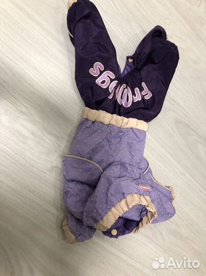 Одежда для собак