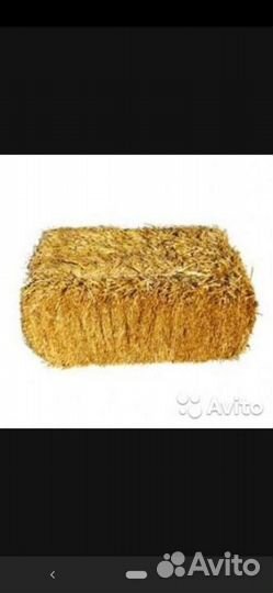 Для животных