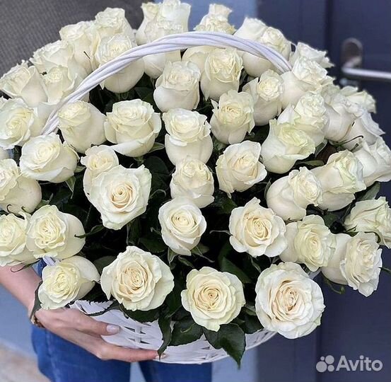 Высокие розы