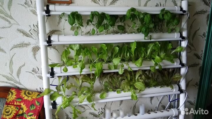 Система гидропоники