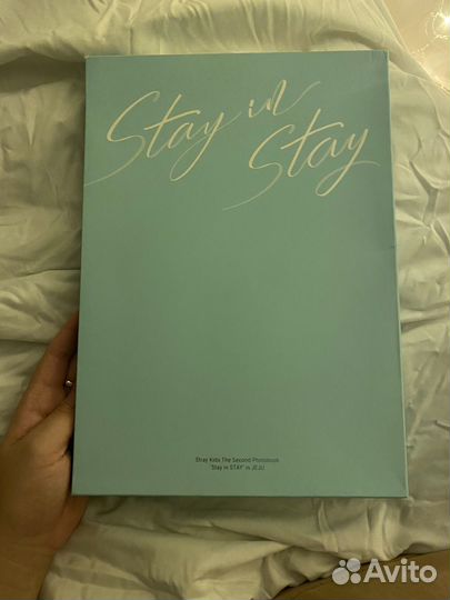 Stray kids stay in stay in Jeju