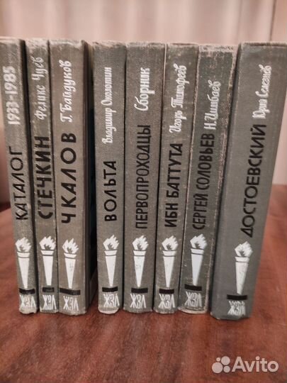 Книги серия жизнь замечательных людей жзл