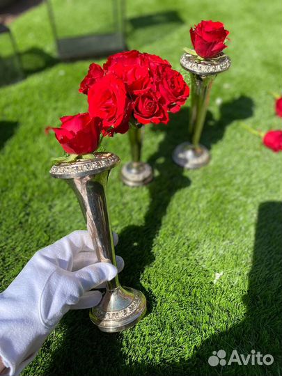 Роузбол англия посеребрение