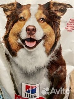 Корм для собак Hill's Science Plan