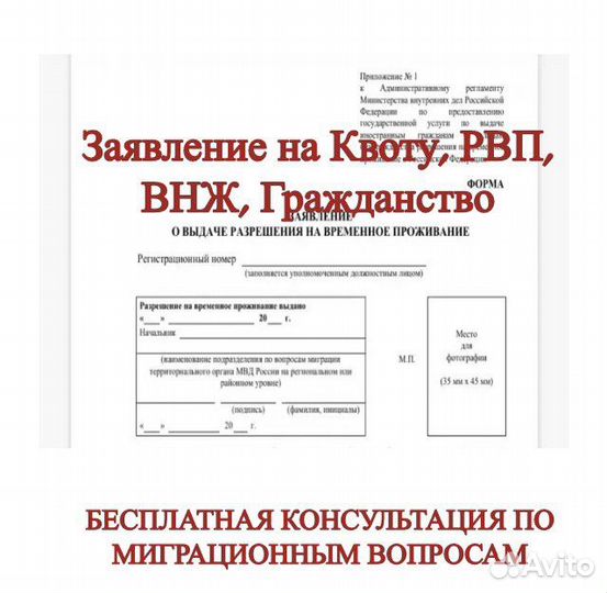 Экзамены, Заявление Рвп, Внж, Гражданство