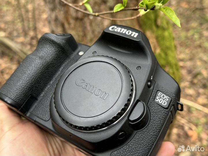 Canon eos 50d, с маленьким побегом
