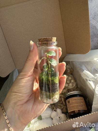 Подарочный набор 