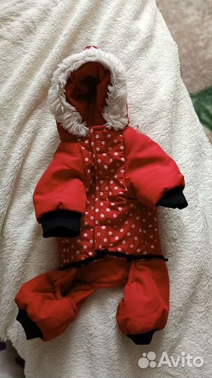 Одежда для маленьких собак