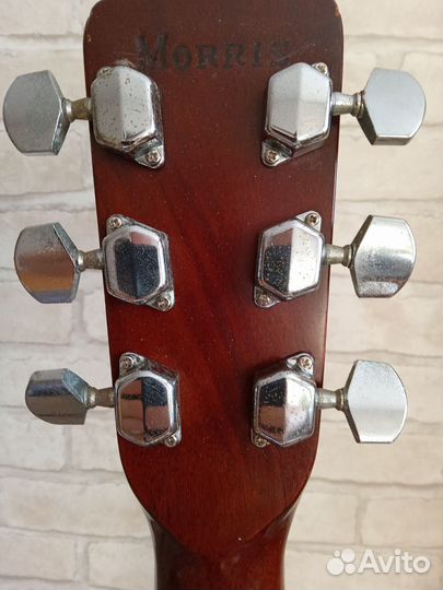 Акустическая гитара morris W18