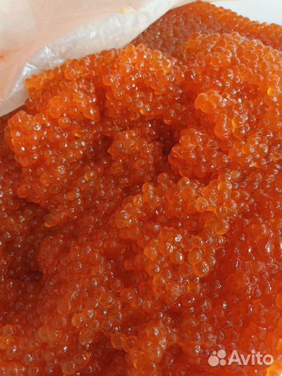 Кета патрашеная сг