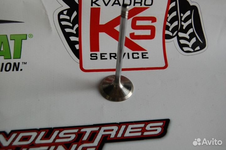 Впускной клапан BRP Can-Am 420254352