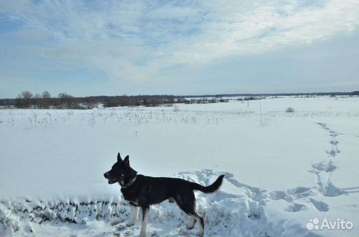Вязка вео кабель