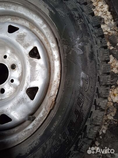 Cordiant Polar 175/70 R13