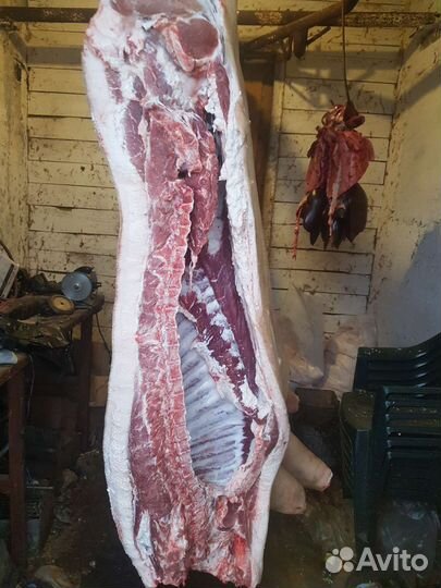 Мясо свинина в тушках