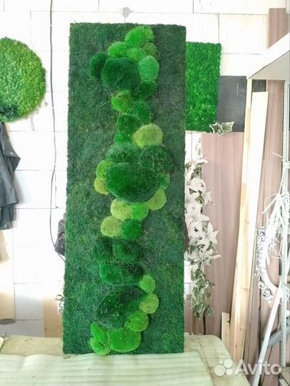 Мох стабилизированный оптом и в розницу