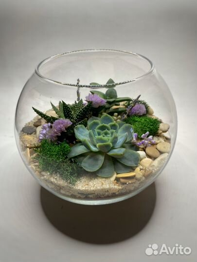 Флорариум шар