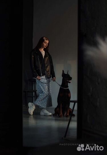 Фотосессии с животными/лошадьми/собаками