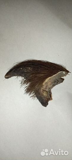 Когти медведя имитация